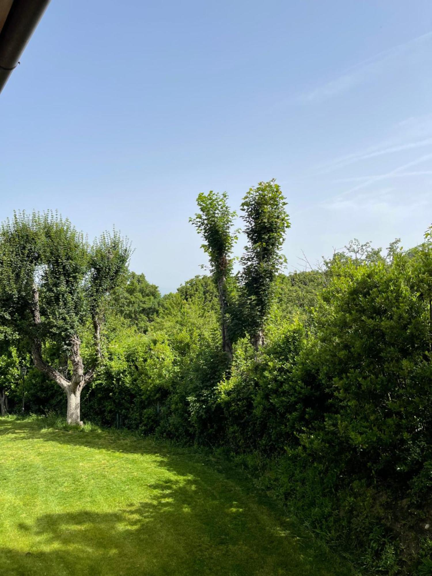 L' Aia Del Principe Villa Montepulciano Bagian luar foto