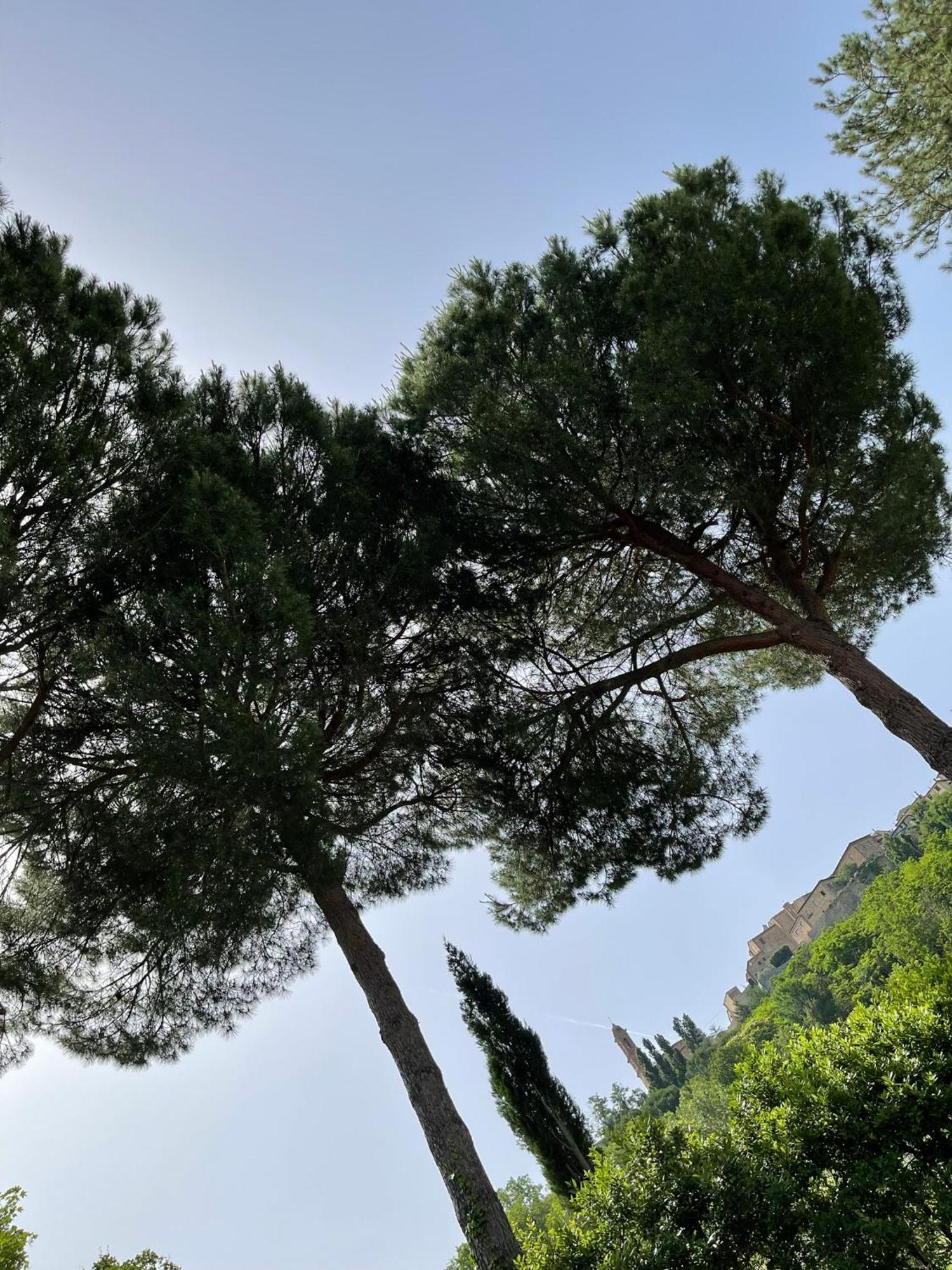 L' Aia Del Principe Villa Montepulciano Bagian luar foto